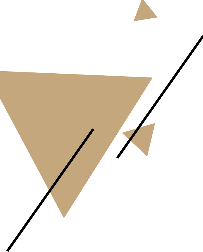Shape